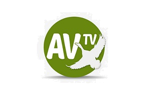 AV TV ADAMI